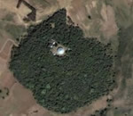 Ethiopia Church Forest