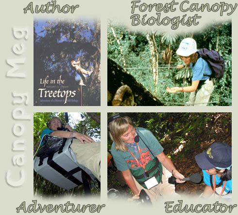 Author, Adventurer, Educator, Forest Canopy Biologist