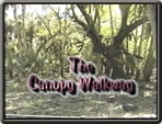 Video of Myakka Canopy Walkway Construction
