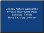 Canopy Nature Walk at the Myakka River State Park