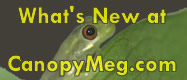 whats new canopymeg blog and natures secrets