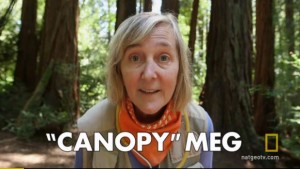 canopymeg on national geographic going deep with david rees