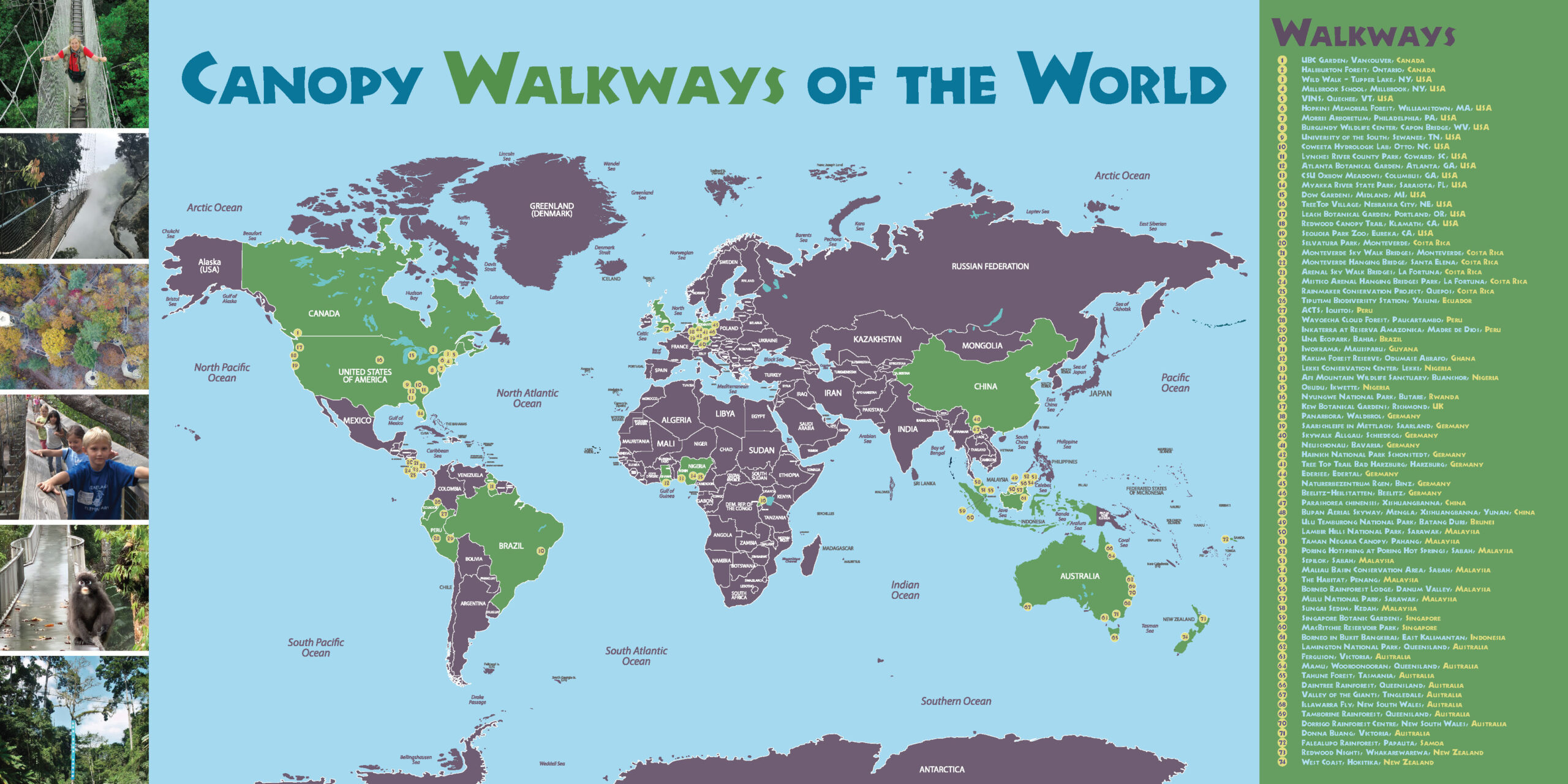 CanopyMeg Official site of Dr. Meg Lowman Scientist, Author